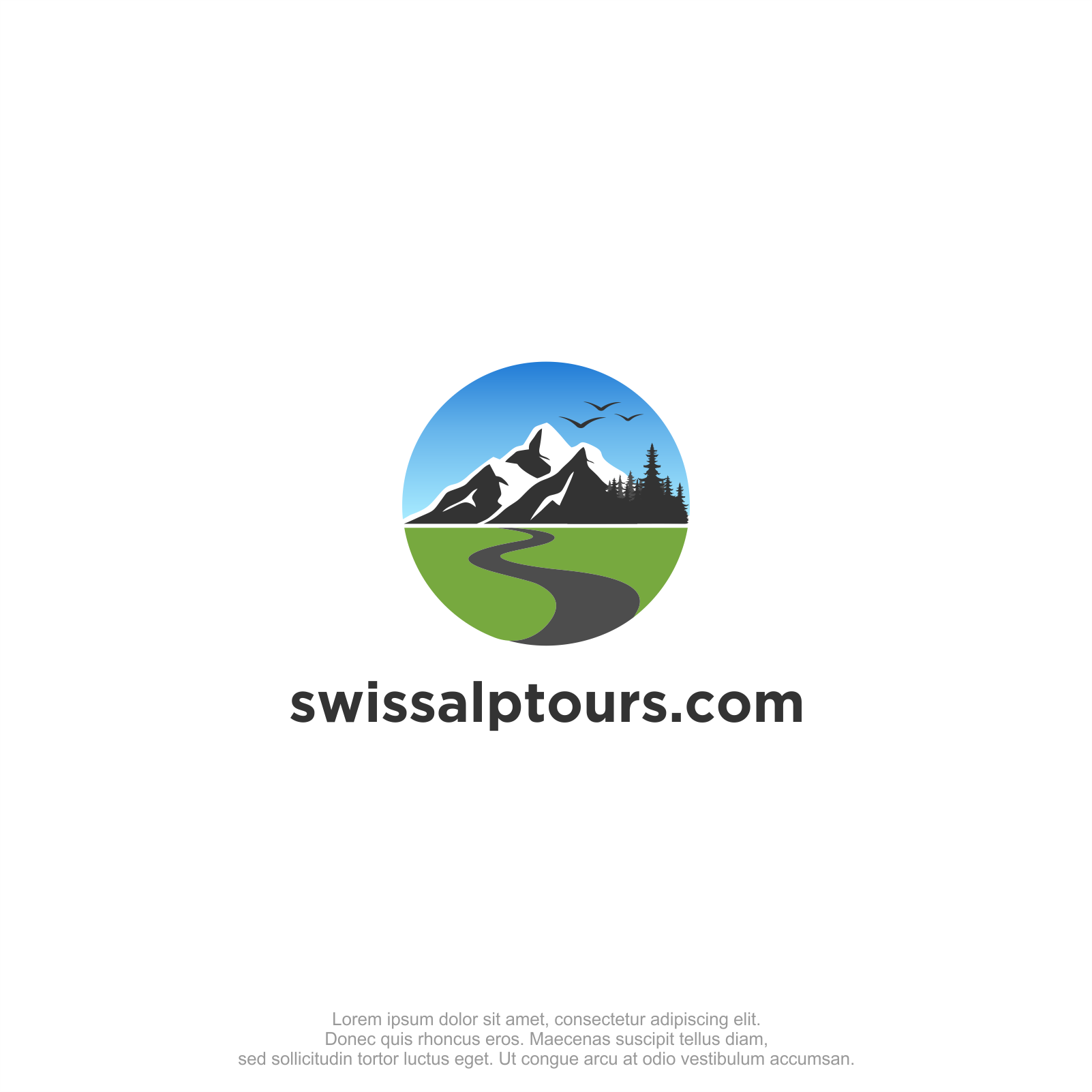 Logo Design by M.Syaiful Huda for Paragliding Switzerland Shop GMBH | Design #35163703