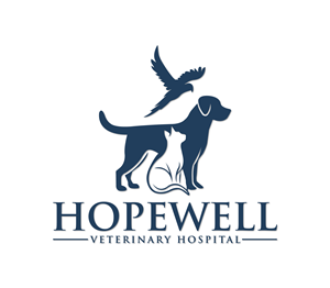 Logo Design by Nova_Create for this project | Design: #35166726