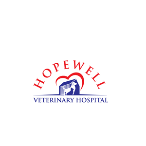 Diseño de Logo por VisionCraft™ para este proyecto | Diseño: #35164931