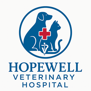 Logo Design by dynamicstudio