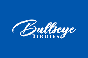 Logo-Design von Soonia für Breakaway Tourism | Design: #35165867