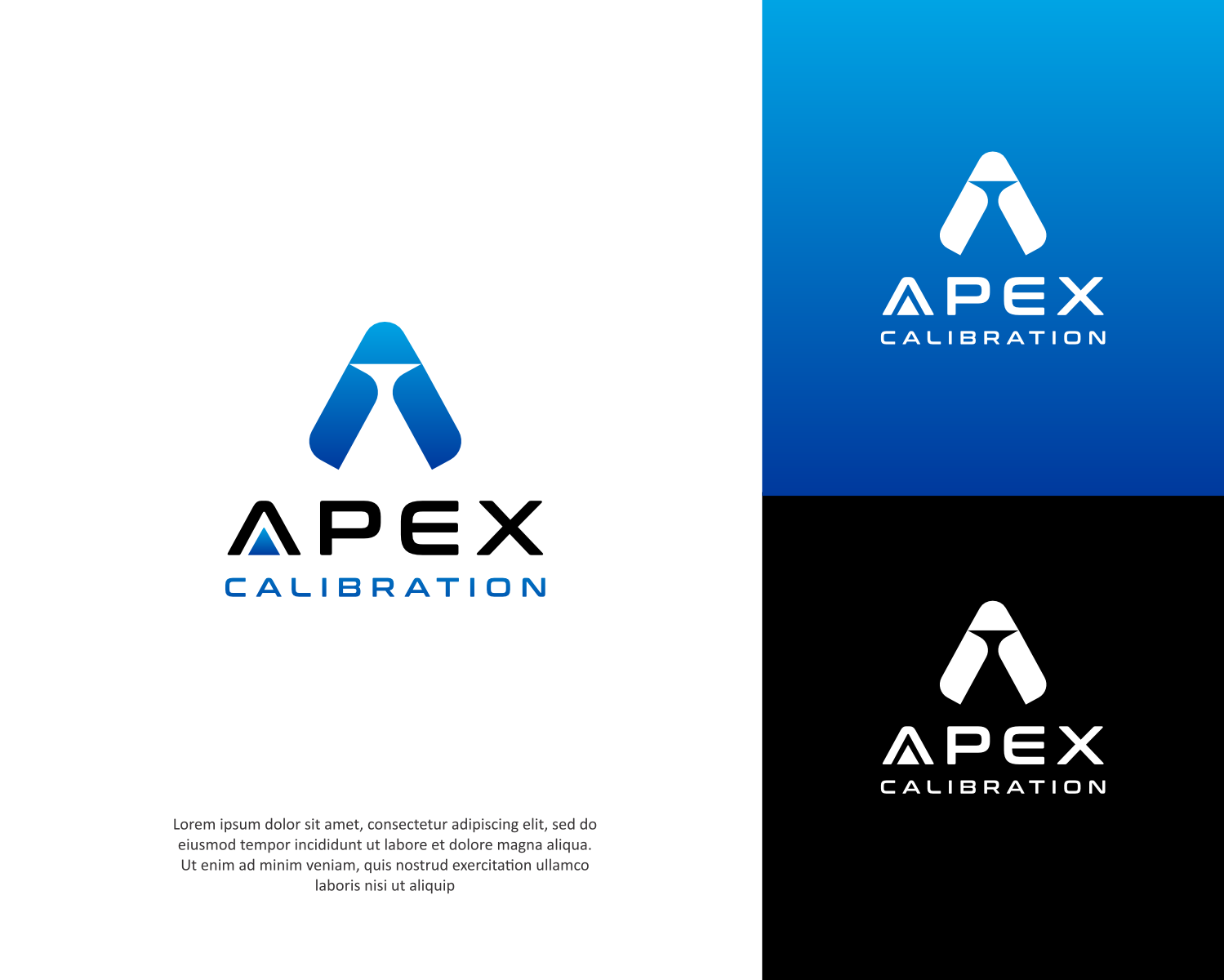 Logo Design by ThiagoB for Car ADAS Solutions  | Design #35168905