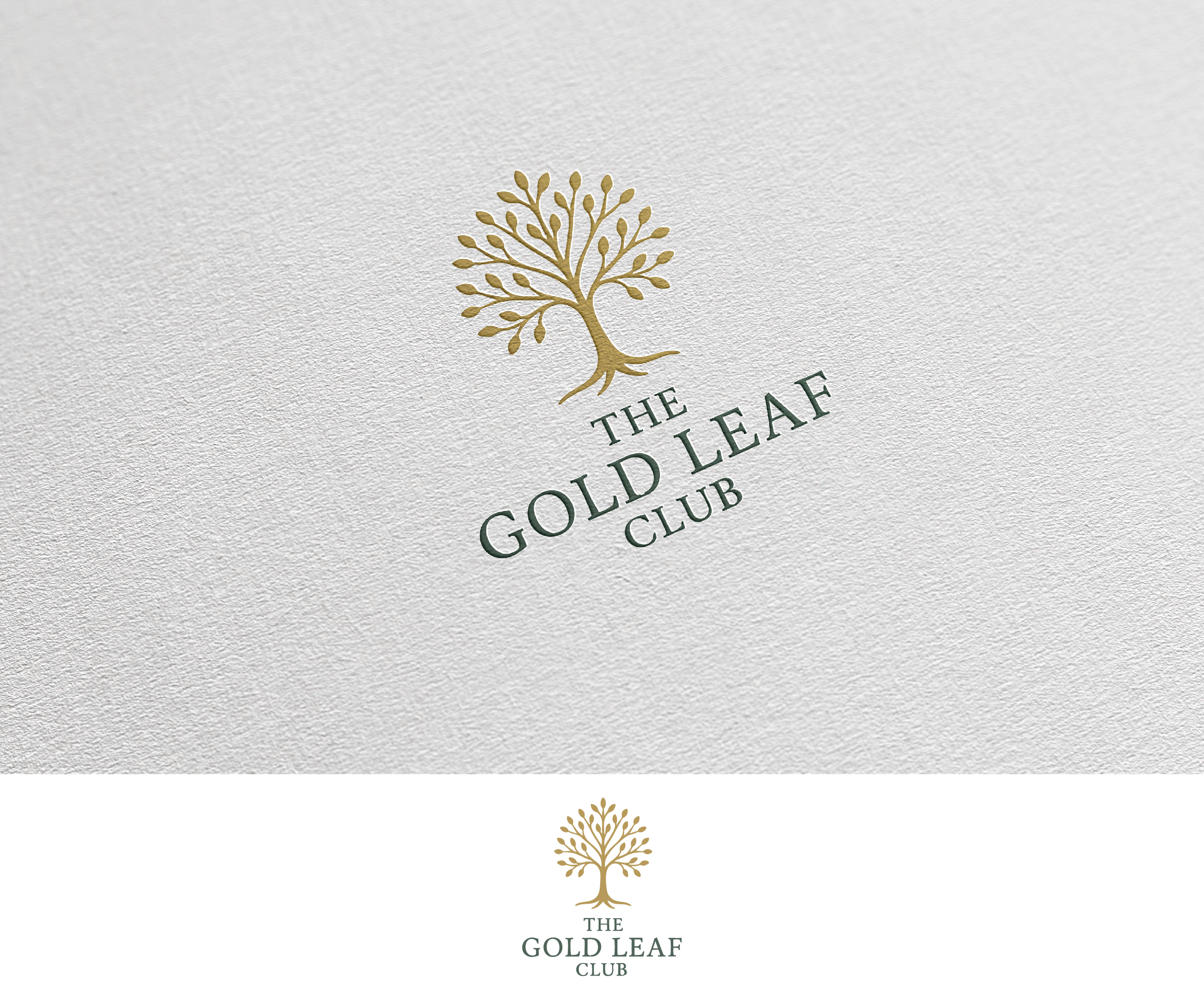 Logo Design by Afsana_Hoque for Education Resources, LLC | Design #35182813
