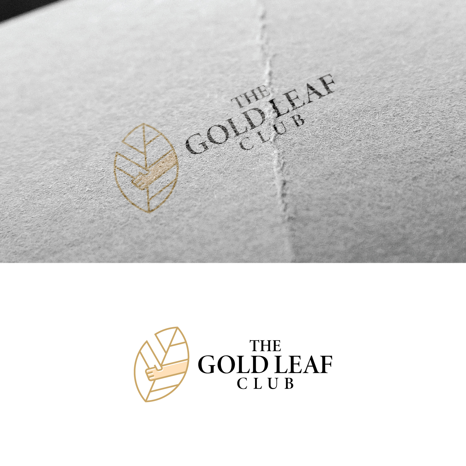 Logo Design by Maxo-Biz for Education Resources, LLC | Design #35174926