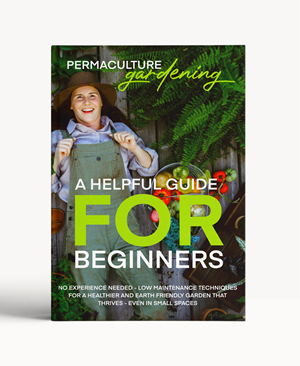 Book Cover Design by Topi ufo for KF Publishing | Design: #35194453