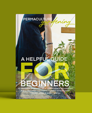 Book Cover Design by Topi ufo for KF Publishing | Design: #35194454
