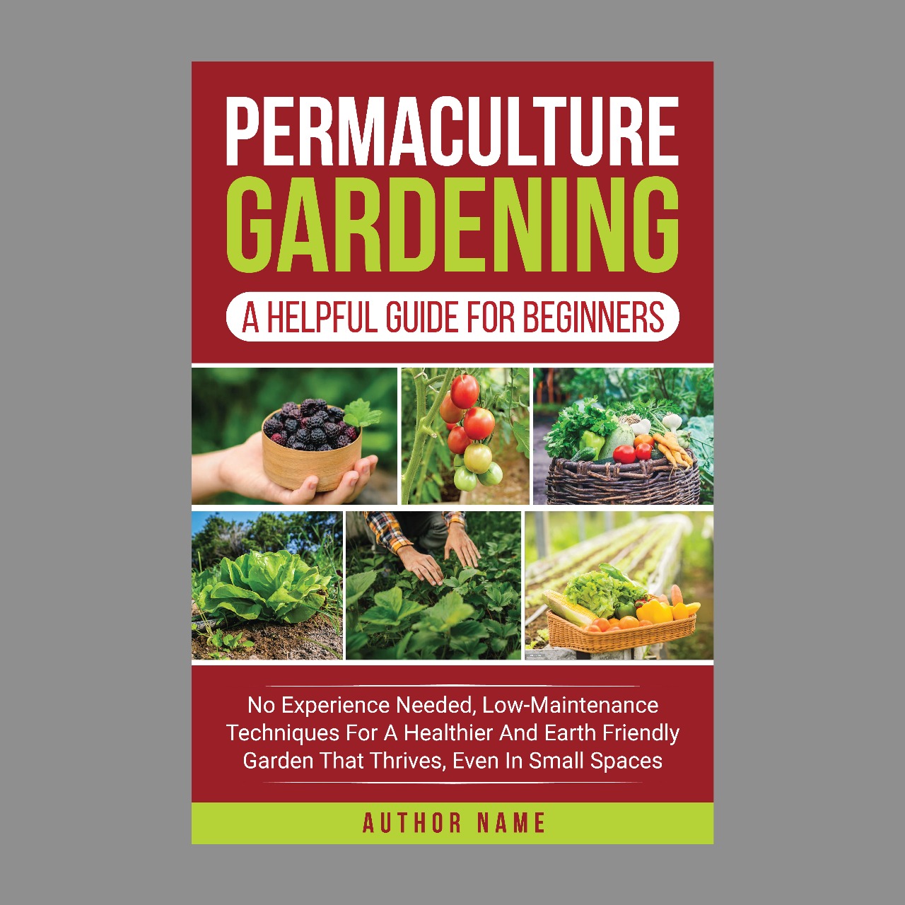 Book Cover Design by VCreativeidea for KF Publishing | Design #35200068