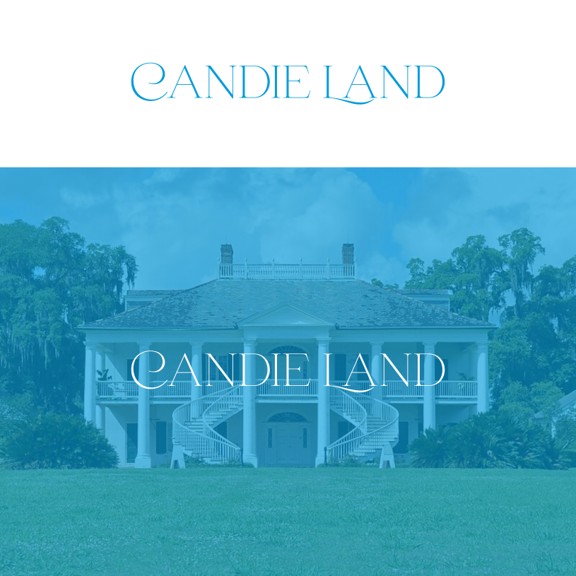 Logo Design by putrashima99 for this project | Design #35199875