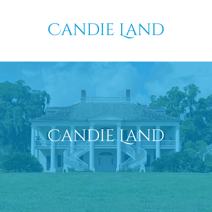 Logo Design by putrashima99 for this project | Design #35199877