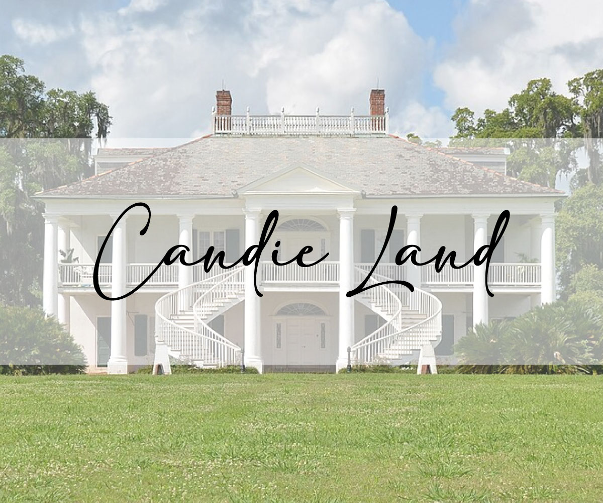 Logo Design by anas02 for this project | Design #35204606