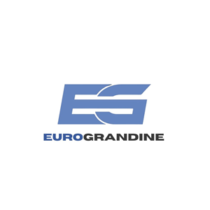 Logo Design by anemidesign