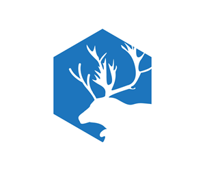 Logo Design by RaKu 2 for Net Vision Consultants, Inc. | Design: #35215650