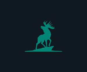 Logo Design by Raoul 2 for Net Vision Consultants, Inc. | Design #35194432