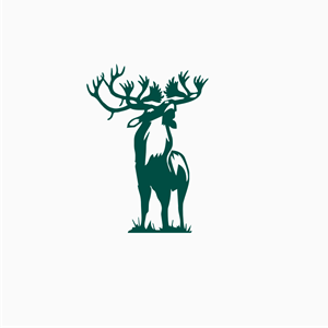Logo Design by gray mind for Net Vision Consultants, Inc. | Design: #35228198