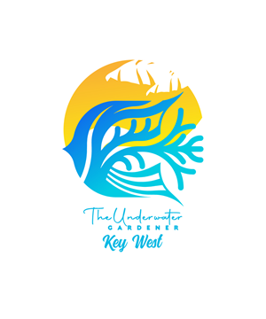 T-shirt Design by StudioD™ for this project | Design: #35196298