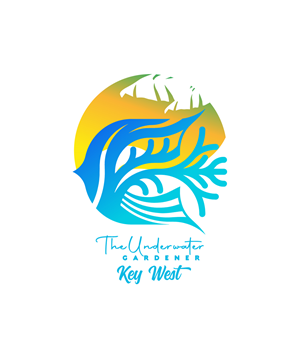 T-shirt Design by StudioD™ for this project | Design: #35196312