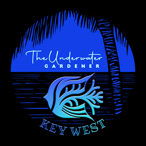 T-shirt Design by NancyTan for this project | Design: #35211955