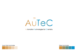 Logo Design by Tamerito