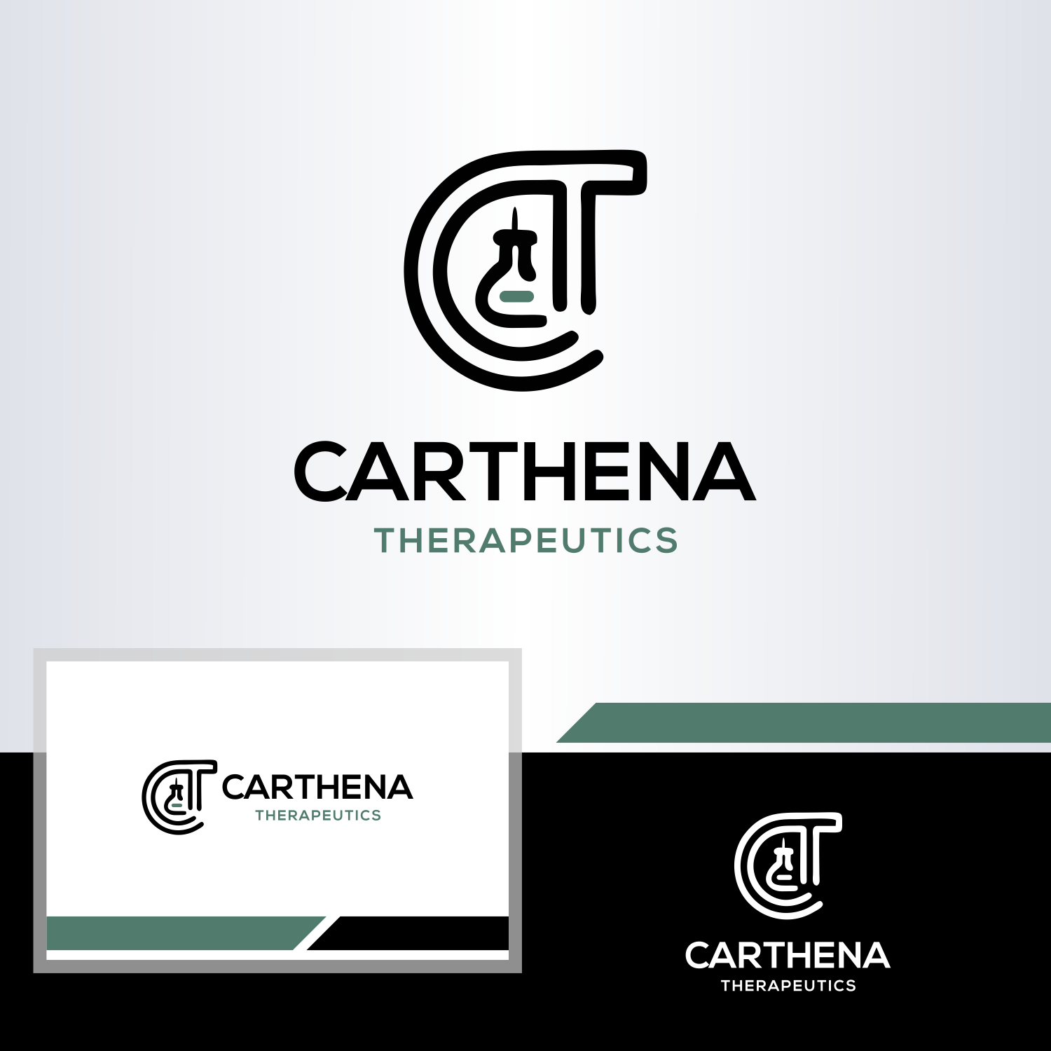 Logo-Design von Turz Design für dieses Projekt | Design #35198381