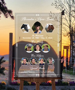 Design Graphique par Titan Solbiz pour Gollwitzer Schmuckfedern Nachfolger GmbH | Design : #35213407