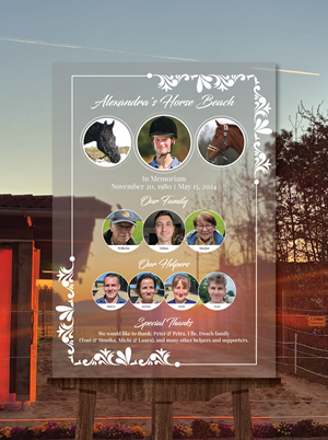 Design Graphique par Titan Solbiz pour Gollwitzer Schmuckfedern Nachfolger GmbH | Design : #35217986