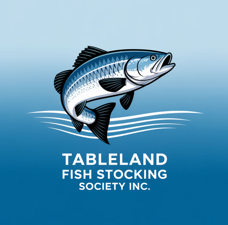 Logo Design by KING JM for FNQ Signs & Wraps | Design #35209327