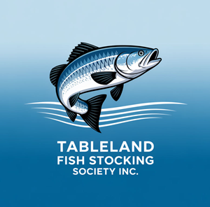 Logo Design by KING JM for FNQ Signs & Wraps | Design: #35209327