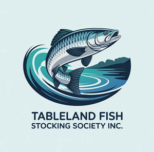 Logo Design by KING JM for FNQ Signs & Wraps | Design: #35209328