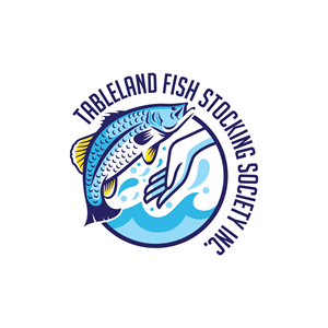 Logo Design by riya.mitra07j for FNQ Signs & Wraps | Design: #35209159