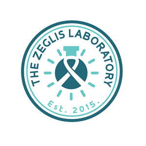 Logo Design by safinez