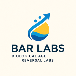 Logo Design by dynamicstudio