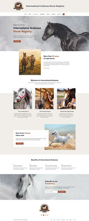 Web Design by Starto Agency for this project | Design: #35247539
