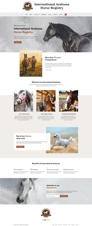 Web Design by Starto Agency for this project | Design: #35247540