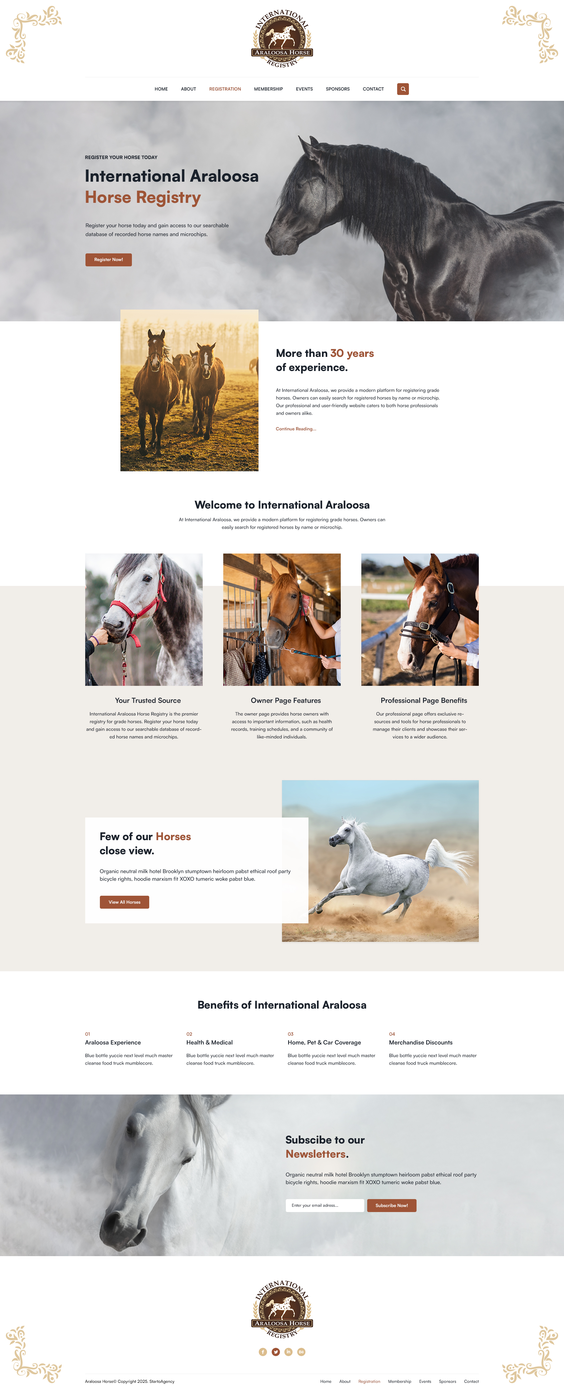 Web Design by Starto Agency for this project | Design #35247542