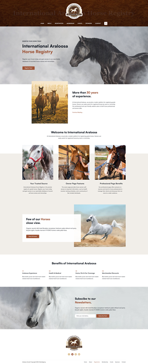 Web Design by Starto Agency for this project | Design: #35248520