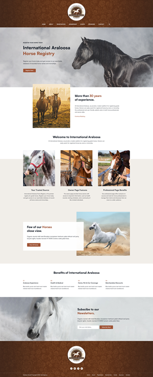 Web Design by Starto Agency for this project | Design: #35249892