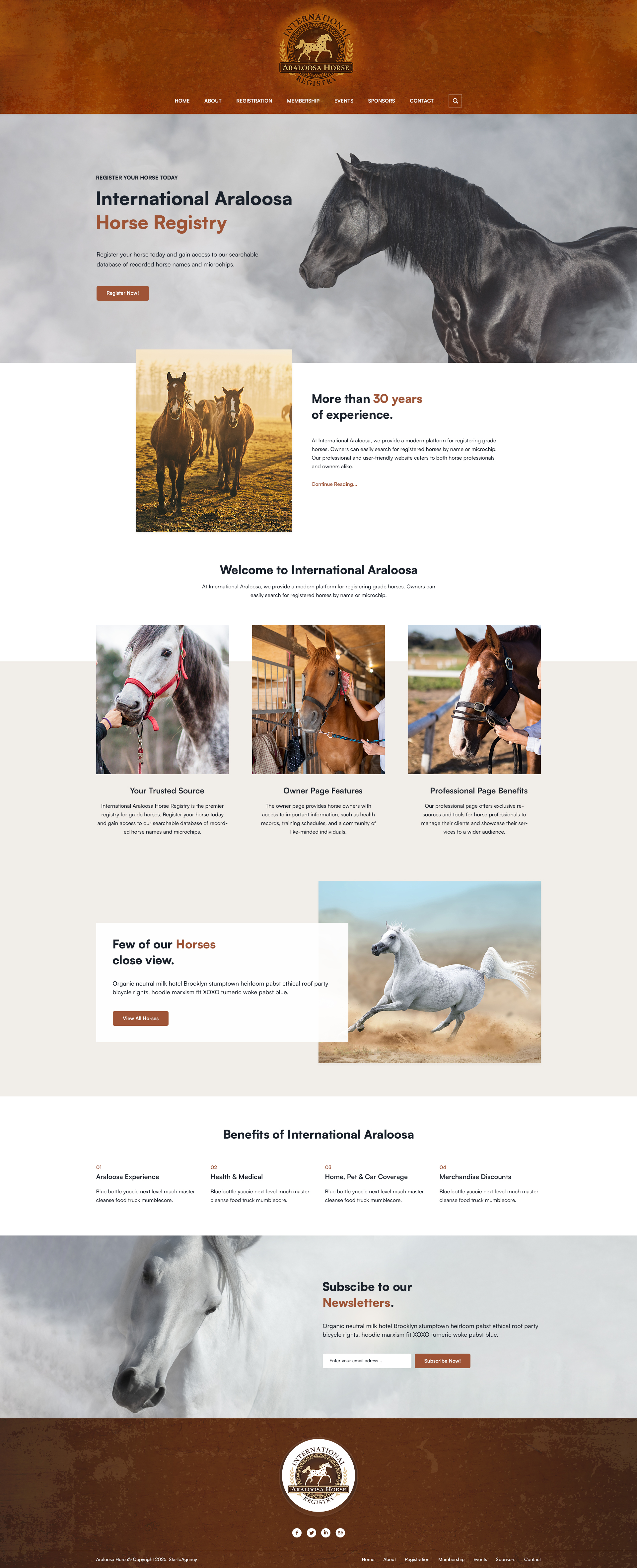 Web Design by Starto Agency for this project | Design #35250494