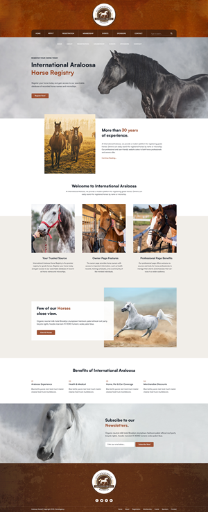 Web Design by Starto Agency for this project | Design: #35250550
