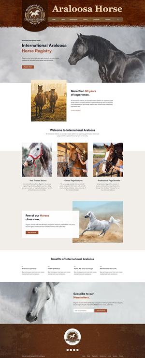 Web Design by Starto Agency for this project | Design: #35263397