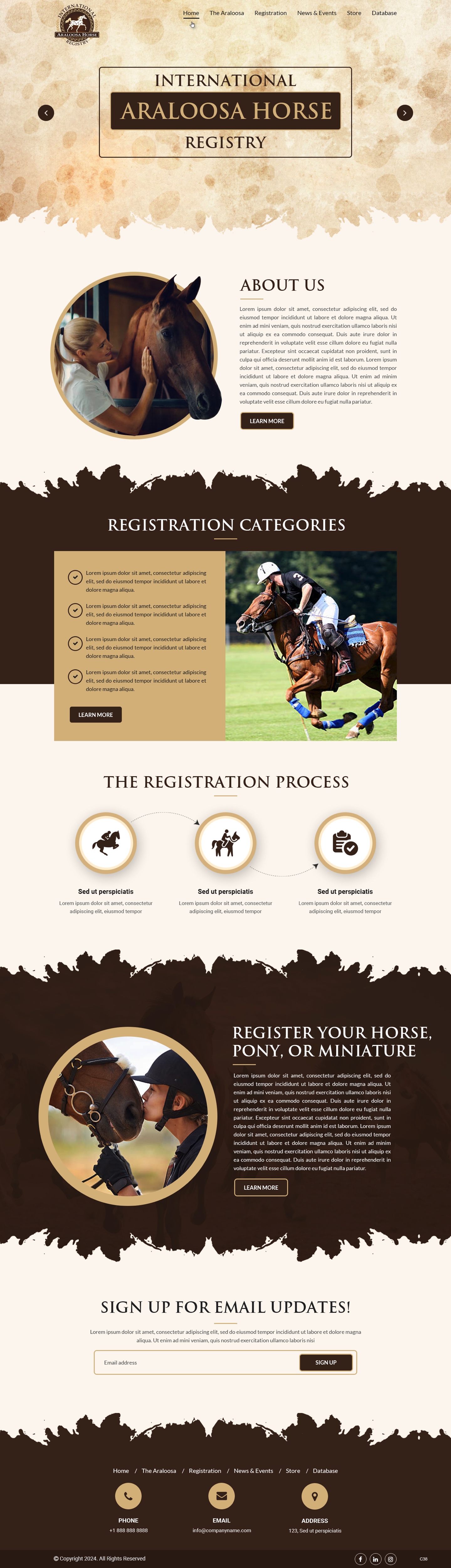 Web Design by pb for this project | Design #35239079