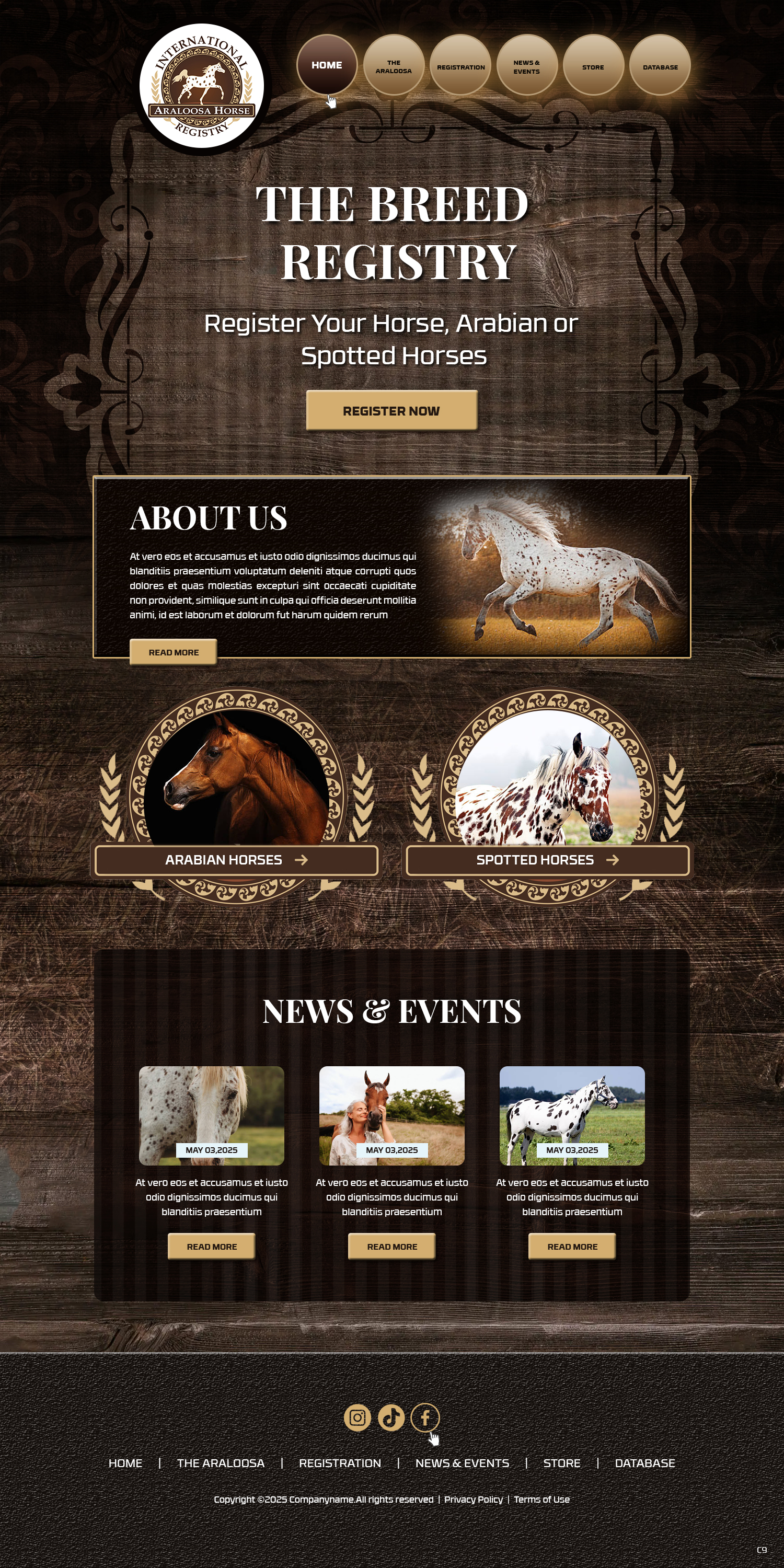 Diseño Web por pb para este proyecto | Diseño #35239081