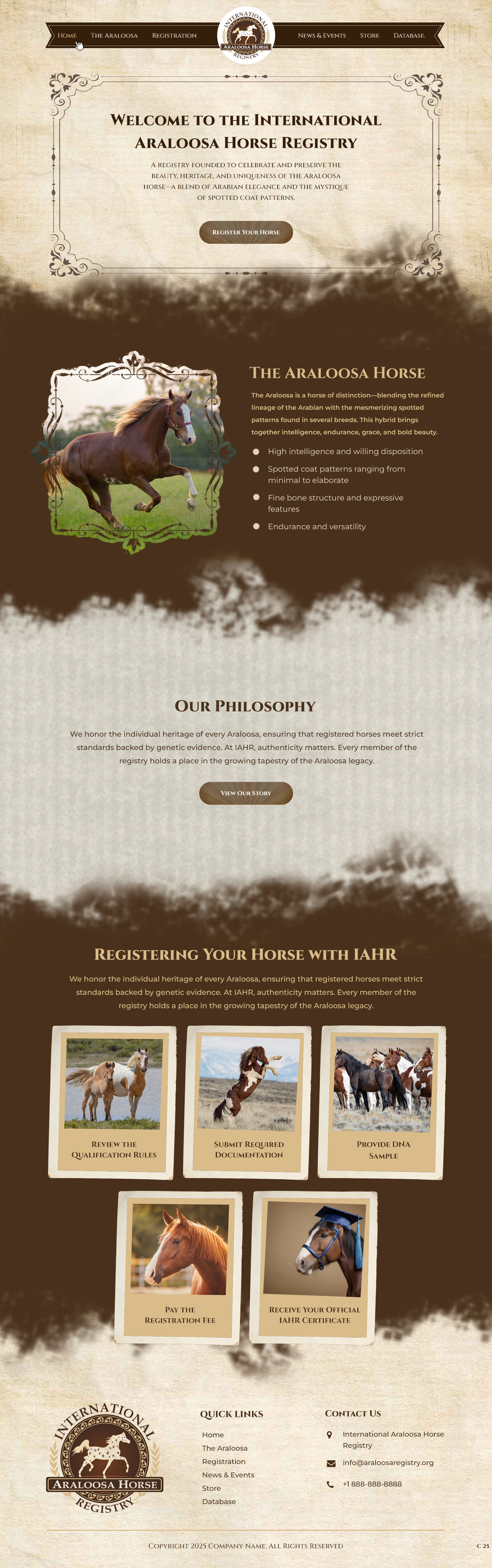 Diseño Web por pb para este proyecto | Diseño #35250033