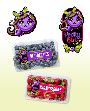 Verpackungs-Design von Jose Lopez ( Verified Pro Designer ) für dieses Projekt | Design: #35234006