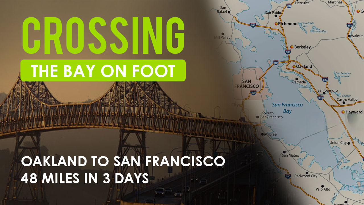 Grafik-Design von SAM-ART für dieses Projekt | Design #35227971