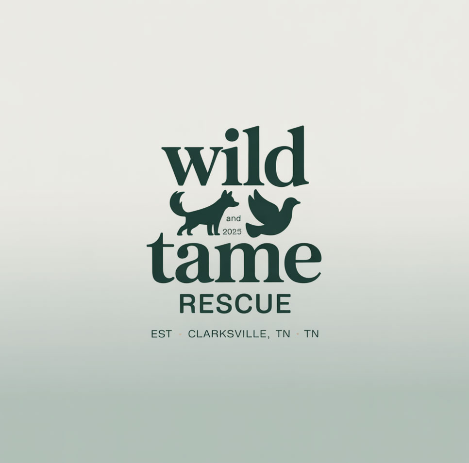 Logo Design by KING JM for this project | Design #35260981