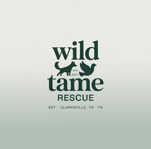 Logo Design by KING JM for this project | Design: #35260981