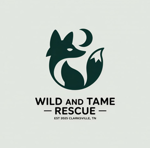 Logo Design by KING JM for this project | Design: #35260982