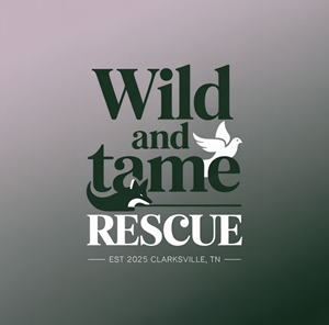 Logo Design by KING JM for this project | Design: #35260983
