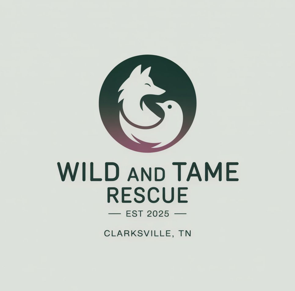 Logo Design by KING JM for this project | Design #35260984