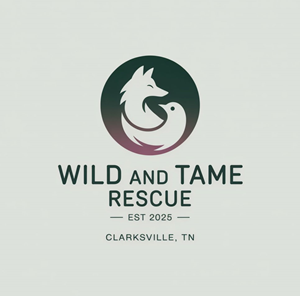 Logo Design by KING JM for this project | Design: #35260984